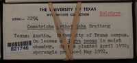 Image Associated With the Occurence